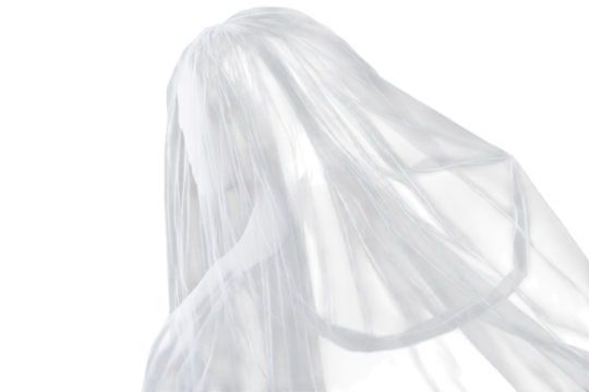 A figure draped in a flowing white sheer fabric or veil