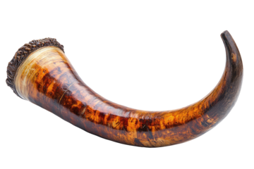 Curved horn with light and dark brown swirled patterns, rough edge