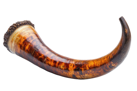 Curved horn with light and dark brown swirled patterns, rough edge