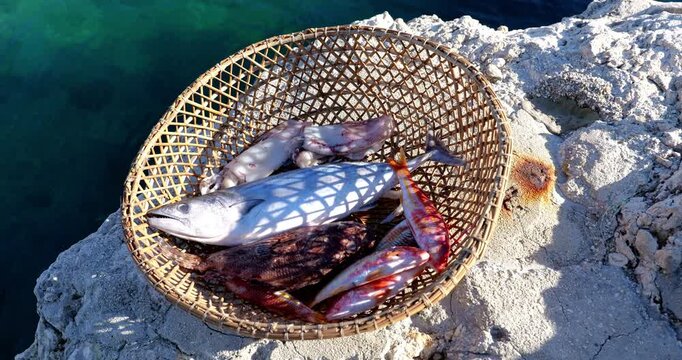 Cesta con pesci