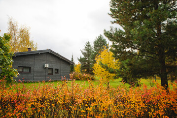Autumn landscape of the mountains with beautyfully colored forest, ever green pine trees and a stormy sky