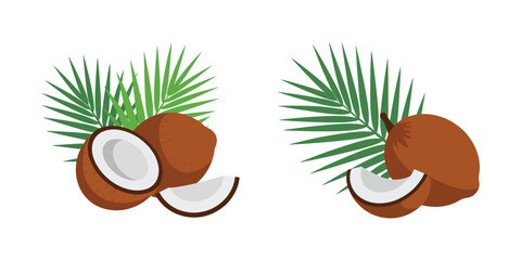 Two coconuts with palm leaves tropical fruit illustration