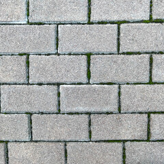Obraz premium Horizontal view of brick-style paving blocks with green moss growing in the joints, forming a repeating pattern on an aged walkway