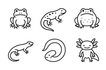 Black and white line art of amphibious creatures: frogs, salamanders, newts, and axolotl