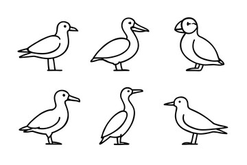 Obraz premium Outline drawings of various seabirds: gull, pelican, puffin, tern, albatross, sandpiper