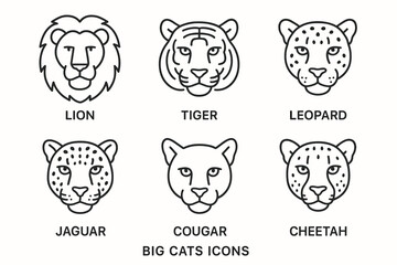 Outline icons of big cats: lion, tiger, leopard, jaguar, cougar, cheetah