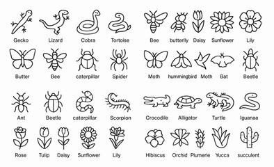 Fototapeta premium Desert outline icons collection: animals, insects, flowers