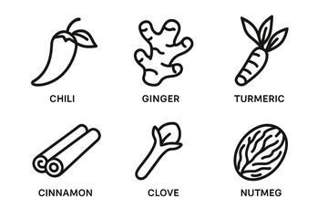 Chili, ginger, turmeric, cinnamon, clove, nutmeg spice icons in black and white