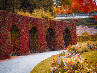 bridge in autumn