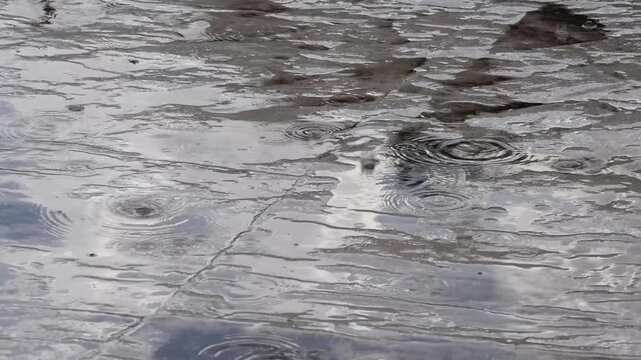 suelo con charcos producto de la lluvia, tormenta, d&iacute;a de lluvia, reflejo, invierno, oto&ntilde;o, frio