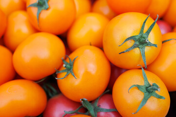 Fresh ripe orange tomatoes with green stems close-up at local farmers market