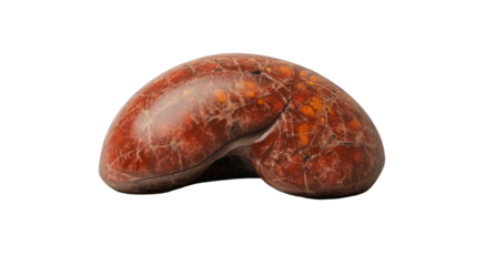 Kidney-shaped, mottled red stone on black backdrop, textured and polished