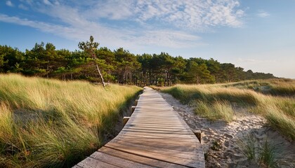 Rustic Wooden Walkway Descending Through Sandy Dunes And Coastal Grass Towards A Dense Green Forest