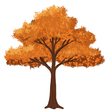 &Aacute;rbol con hojas sec&aacute;ndose