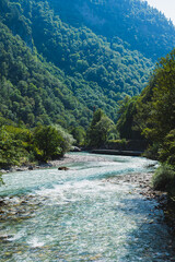 Free blue mountain rock river among forested mountains on sunny day vertical view