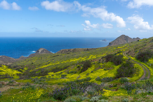 View from Pedregal Viewpoint in Porto Santo, Portugal