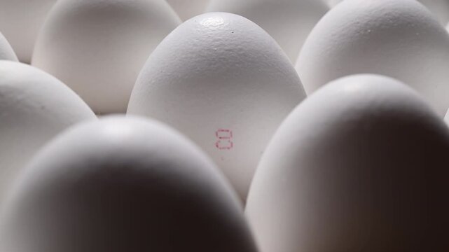 Macro of a C0 egg in carton. Camera movement creates a smooth parallax effect, revealing the hidden egg.