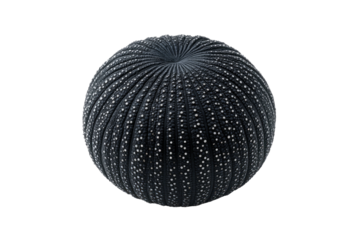 Spherical, dark object with white dots, textured surface, on black background