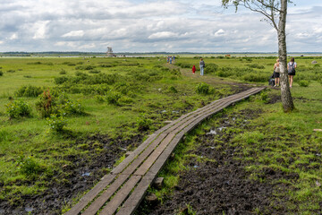 Engure, Latvia - 07.12.2025: Tourists in Engure Lake Nature Park, Latvia