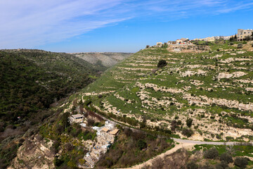 Irbid, Amman - The road to Birkat al-Arais - hiking in nature, among forests and trees 