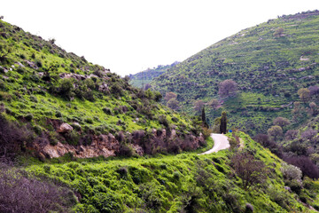 Irbid, Amman - The road to Birkat al-Arais - hiking in nature, among forests and trees 