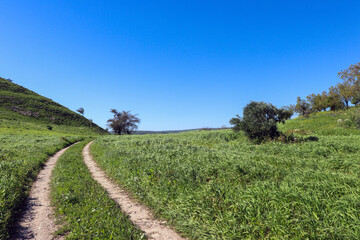 Irbid, Amman - The road to Birkat al-Arais - hiking in nature, among forests and trees 