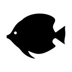 Scalable vector illustration of a discus fish elegant aquatic creature for decorative and educational purposes silhouette