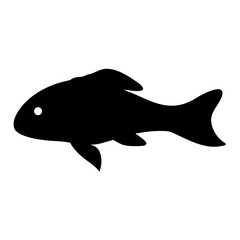 Silhouette of a black dwarf cichlid fish with a single white eye detailed view