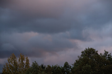 A dramatic sky with heavy, dark clouds looms over a forest with autumn foliage during a moody Estonian evening.