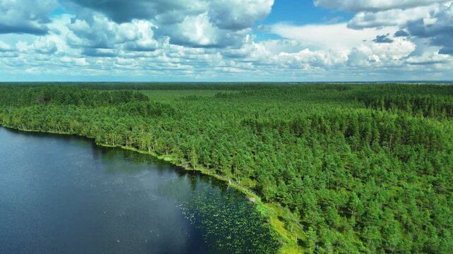 Latvian Swamps Landscape with Forest and Water