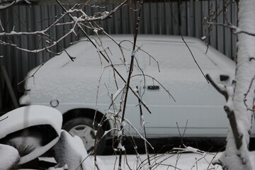 frost-covered branches in sharp focus against a softly blurred urban backdrop