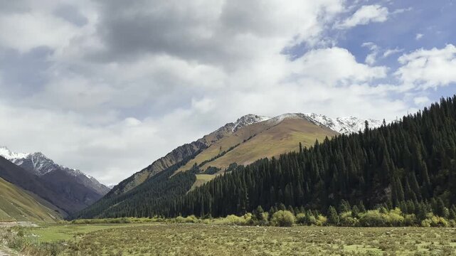snowcapped mountain and forest seen from a traveling vehicle, xinjiang, china