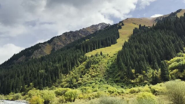 mountain covered with green vegetation seen from a traveling vehicle, xinjiang, china