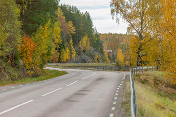 country road in autumn