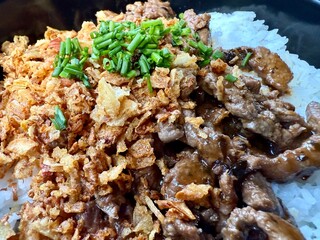 gros plan sur un repas asiatique à base de riz blanc et de viande de bœuf  en sauce et de la ciboulette