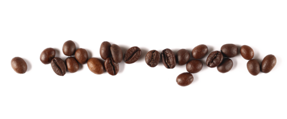 Coffee beans line isolated on white background, top view