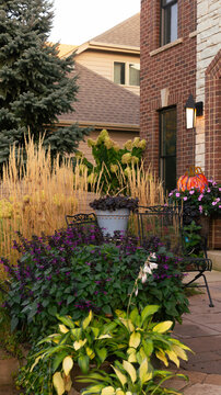 Golden feather reed  grass glows against the brick fa&ccedil;ade, framed by lush perennials and containers. Layers of purple salvia,  limelight hydrangea and yellow hostas create visual harmony.