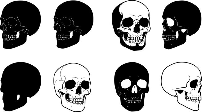 Set of human skull black silhouettes in various styles, front and side views, isolated on white background, graphic illustration. Concept of anatomy, gothic symbol, tattoo, halloween design elements 