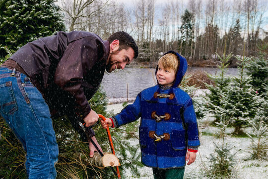 Side view of a smiling Boy helping his father chop down a Christmas tree at a christmas tree farm in the winter snow, USA