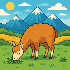 llama eating grass