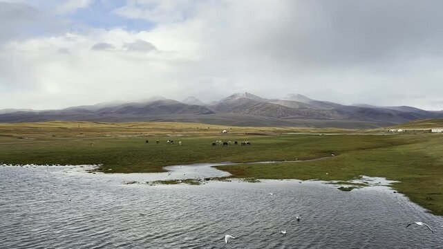 mountains, lake and grassland in Bayinbrook Nature Reserve in xijiang, china