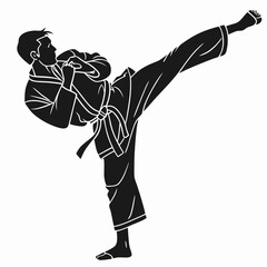 Karate fighter raising leg silhouette
