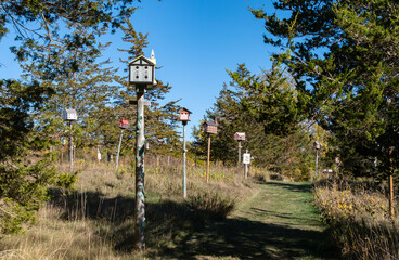 Very Unique Birdhouses in a Park on a Sunny Day
