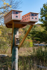 Three Birdhouses in a Public Park on a Sunny Day