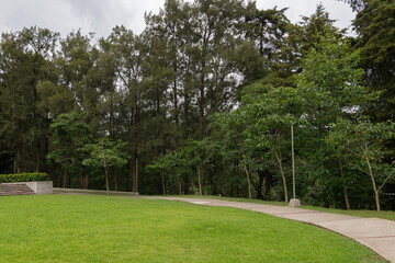 Calm natural park with a curved walkway bordered by trees and grass, representing peace, leisure, and outdoor life.