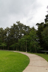 Peaceful vertical panoramic shot showing a curved path surrounded by green trees and grass in a forest park.