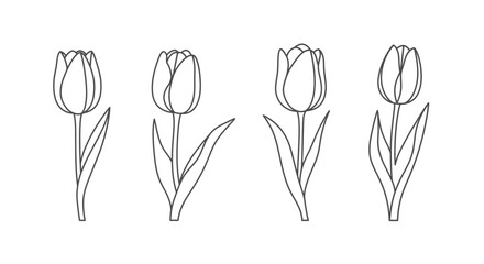 Simple black and white line drawing of four tulip flowers in a row