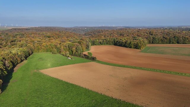 vue a&eacute;rienne panoramique de champs labour&eacute;s en automne avec une for&ecirc;t au feuillage multicolores en fond et unciel bleu au dessus. 