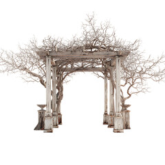 Arbor garden pathway shaded serene retreat.png