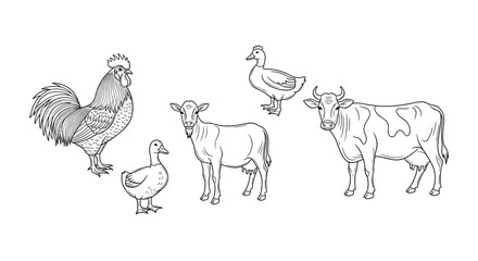 Illustration of a rooster ducks goat and cow in black and white line